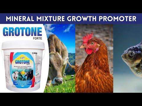 Mineral mixture powder and growth promoter for cattle, poult...