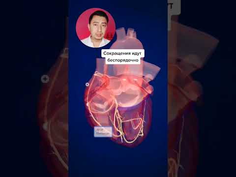 Ритмолог - Врач