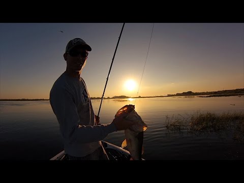GoPro: Jared Dial - Best Catch 5.27.15 - Fish