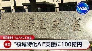 【独自】“領域特化AI”支援に100億円 経済産業省　サカナAIなど16社【WBS】