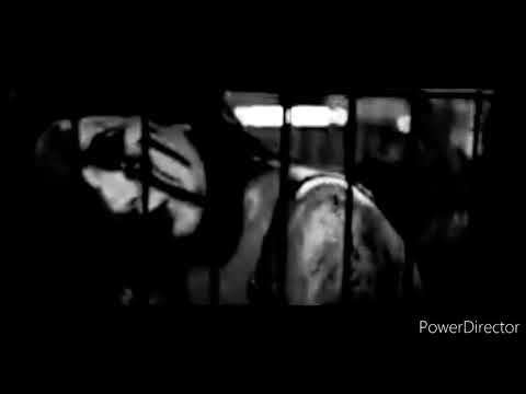 King Orgasmus One - Kriegsführer feat Schwartz FANMADE VIDEO