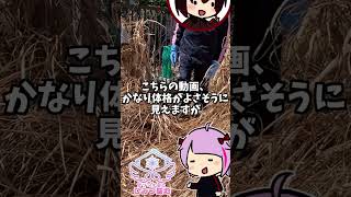 【 DIY 初心者 】「黒霧にいろの秘密」 #せっつぇるの秘密基地 【 せっつぇる 】#vtuber #せっつぇる #vtuberclips #Shorts  #DIY #超美麗3D Vlog