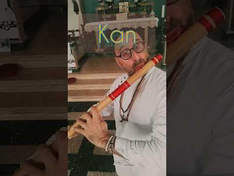 Pillola BANSURI n 27   gli ornamenti , frasi e note hindi   #hindostani #raagmalaar #classicalmusic