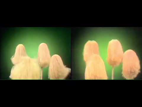 📺 The Making of ''Rag Mop''