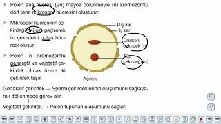 Eğitim Vadisi AYT Biyoloji 13.Föy Bitki Biyolojisi 2 Konu Anlatım Videoları