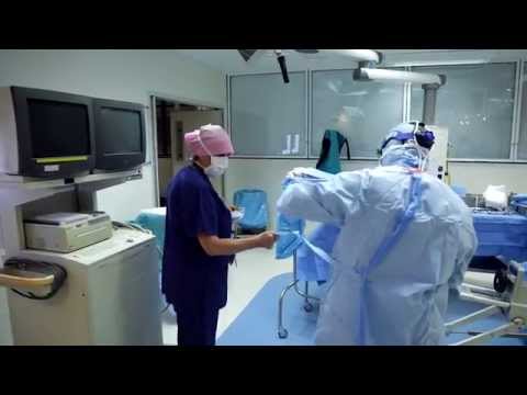 Dr. Sara May, Allergy and Immunology