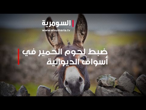 فيديو | ضبط لحوم الحمير في أسواق الديوانية
