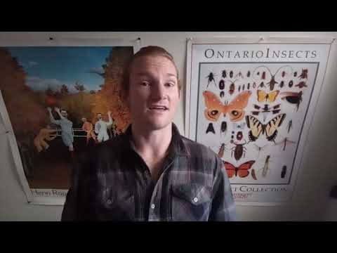 BES Lightning talk Winter 2020