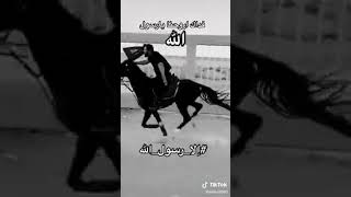 حالات واتساب لبيك يا رسول الله