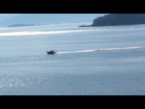 Thumbnail for Ruby princess cruise ship  in Alaska passing by boat and gorgeous views