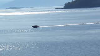 Ruby princess cruise ship  in Alaska passing by boat and gorgeous views