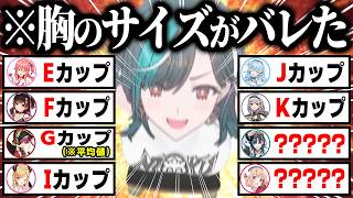 【総集編】インフレが凄い...配信中にうっかり胸事情＆ぺぇのサイズがバレてしまったホロメン62連発ｗ【ホロライブ／宝鐘マリン／雪花ラミィ／白銀ノエル／輪堂千速／さくらみこ／切り抜き】