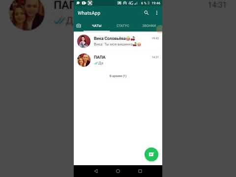 Переписка с вики шоу