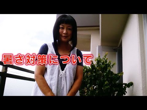 暑いときはプールにカバーをしたほうがいいでしょうか？どうやって ？全てをご説明させていただきます！  庭園