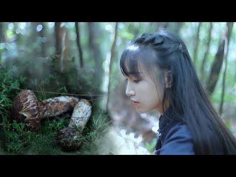 一种如精灵般的食材——松茸