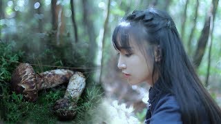 Video : China : The magical matsutake mushroom 松茸 (SōngRóng)