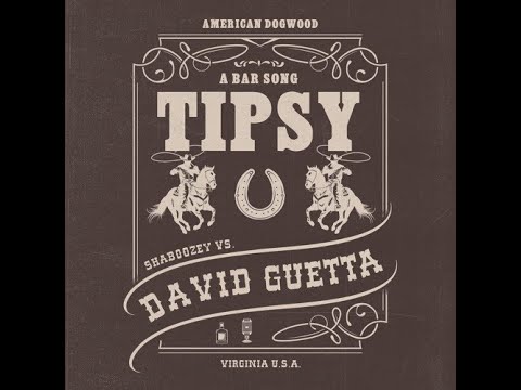 Shaboozey - A Bar Song (Tipsy) (David Guetta Extended Remix)