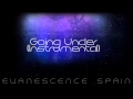 Evanescence Going Under Instrumental [HD 720p]