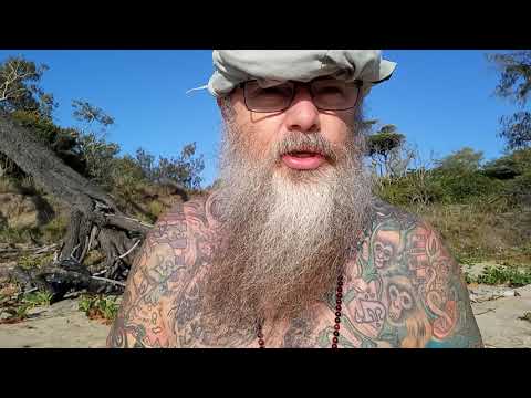 ACIM WB Lesson 81 (REVIEW II) ~ A COURSE IN MIRACLES WORKBOOK LESSONS ~ 365 DAYS W/ DAVE PHARE