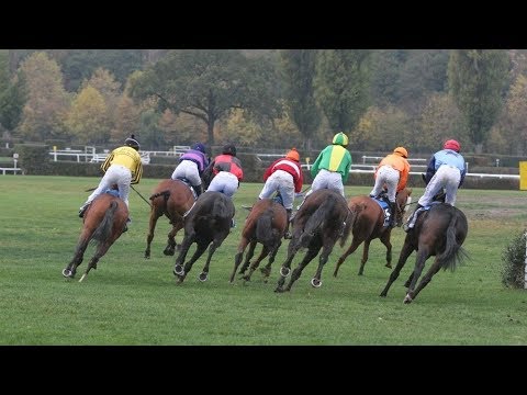 Závěrečný dostihový den roku 2019 v Pardubicích vysílá EquiTV.cz ŽIVĚ