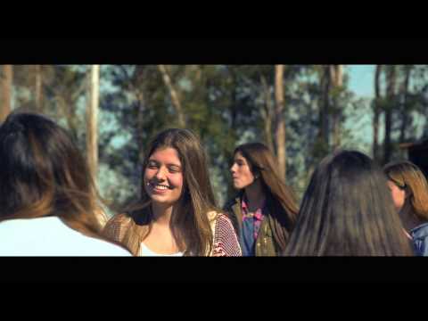 Ax 13 ft Sonido Profesional   Travieso   Preview