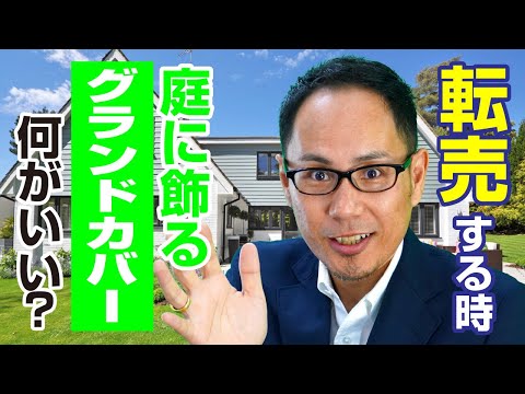 芝生の代わりに適したグランドカバーは何ですか?あなたの庭の土壌に応じてトップ3をご紹介します。  庭園