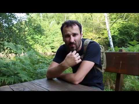 Die Wasgau-Seen-Tour bei Fischbach im Pfälzerwald - Wandern - Trekking - Bushcraft