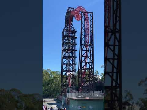 Buzz Saw Dreamworld Gold Coast