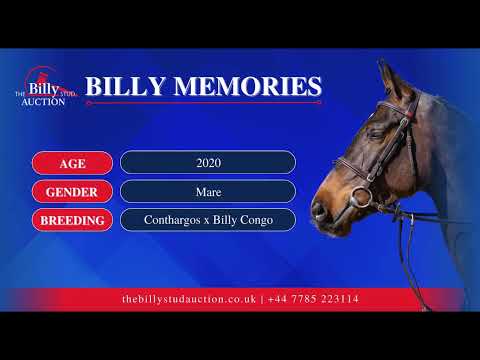 Billy Memories