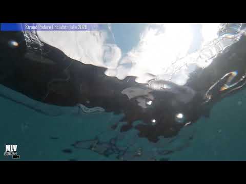 Hai hui cu drona  - Strand padure caciulata