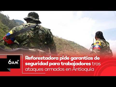 Reforestadora pide garantías de seguridad para trabajadores tras ataques en Antioquia | 6AM W