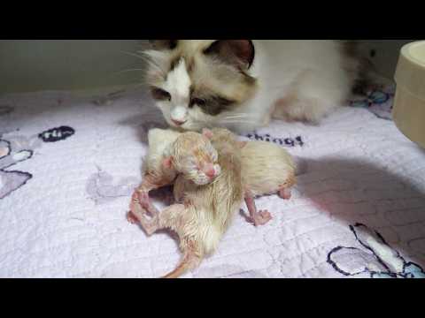 YouTube 썸네일