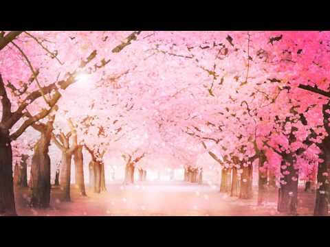 Lunatyk Lunek - Sappy