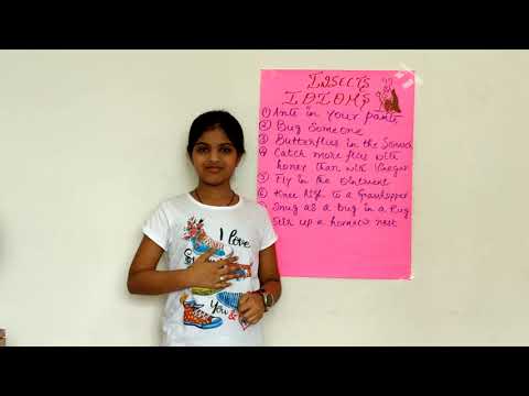 Insect Idioms | English | MANVI MITTA | Series 7