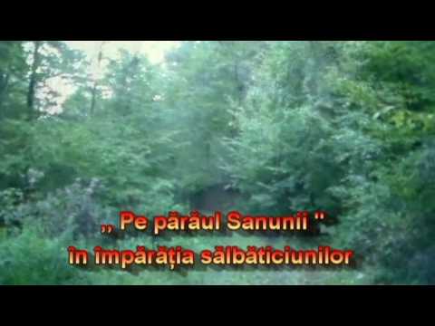 Boncănit la Iacobini pe Vale