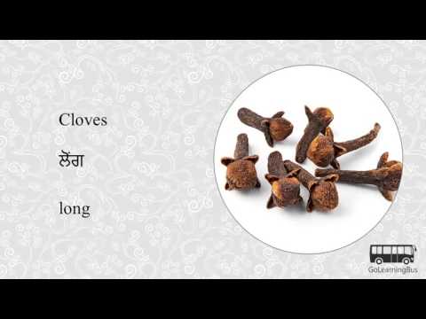 download lagu mp3 mp4 Marjoram In Punjabi, download lagu Marjoram In Punjabi gratis, unduh video klip Marjoram In Punjabi