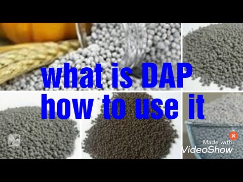 What is DAP n how to use it, About chemical fertilizer Video