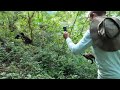 Gorilla GoPro