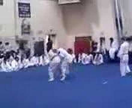 german judo
