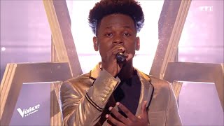 Leonard Cohen - Hallelujah - Micha    | The Voice 2023 | Finale