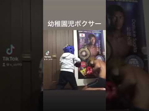 幼稚園児ボクサーのスパーリング