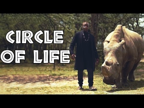 The Lion King - "Circle of Life" | Alex Boye ft. Alisha Popat & Lemarti
