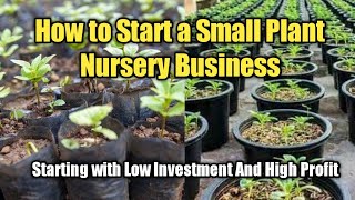How to Start a Plant Nursery Business in Small Scale