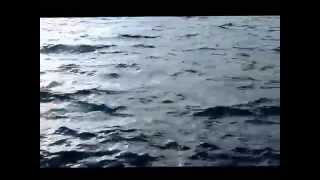 Akuaintro - Davide Van de Sfroos