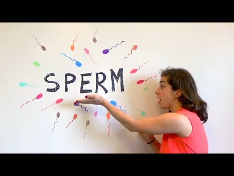 download lagu mp3 mp4 Parent Portal Sjsd, download lagu Parent Portal Sjsd gratis, unduh video klip Parent Portal Sjsd