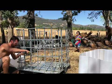 How to Make Worm Bins from IBC Totes