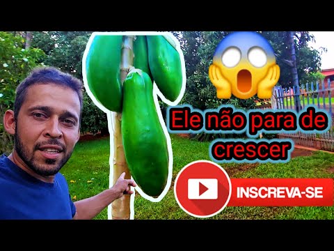 Casa minha sogra bela vista do paraíso PR