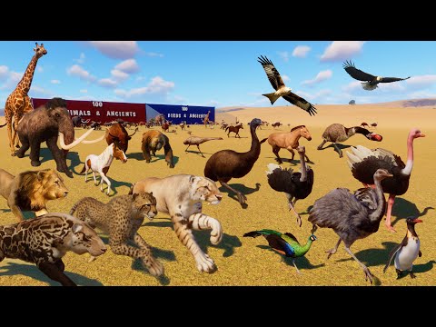 100 Animals & Ancient Animals VS 100 Birds & Ancient Birds Race in Planet Zoo Included Mammoth
