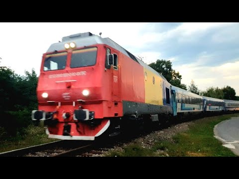 IR 1742 & IR 143 -Vadu Crișului- 17.08.2023