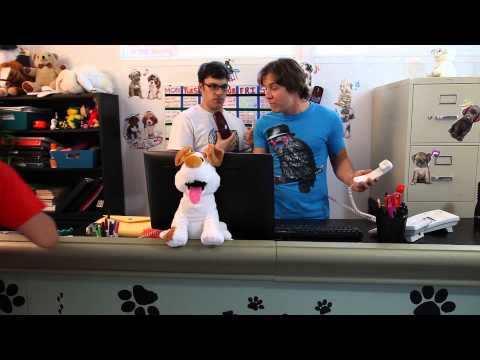 Pet Hotel - "Reception-ator"